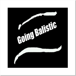 Going ballistic - Humor Posters and Art